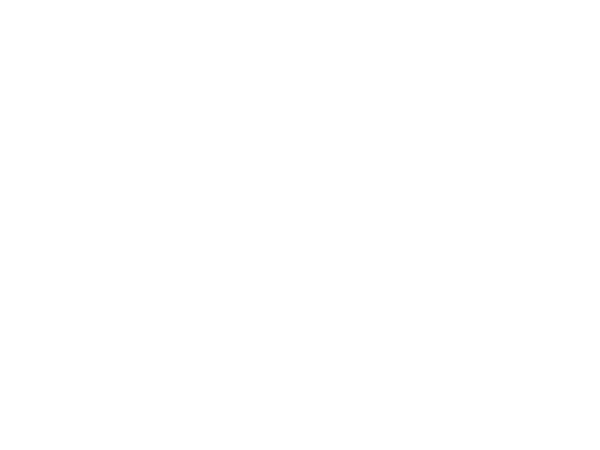 WCO logo big WCO logo big